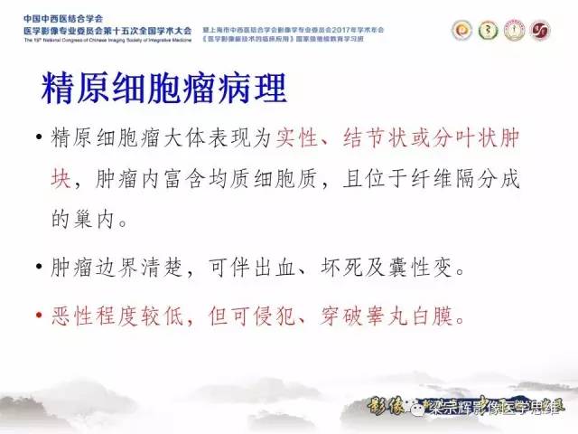【病例】睾丸精原细胞瘤1例MR影像表现
