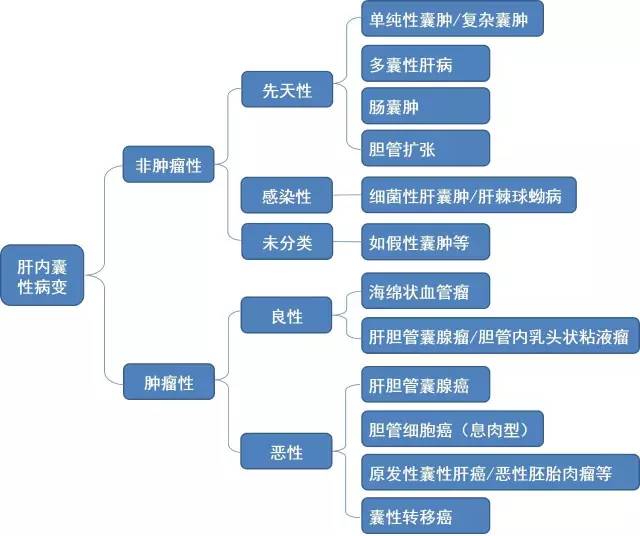 【病例】肝胆管内乳头状粘液瘤1例CT影像表现 【病例】肝胆管内乳头状粘液瘤1例CT影像表现