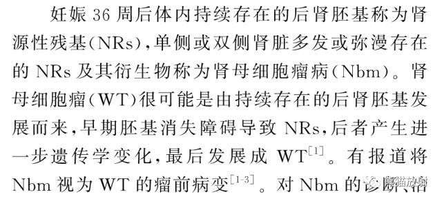 肾母细胞瘤VS囊性肾瘤 肾母细胞瘤VS囊性肾瘤