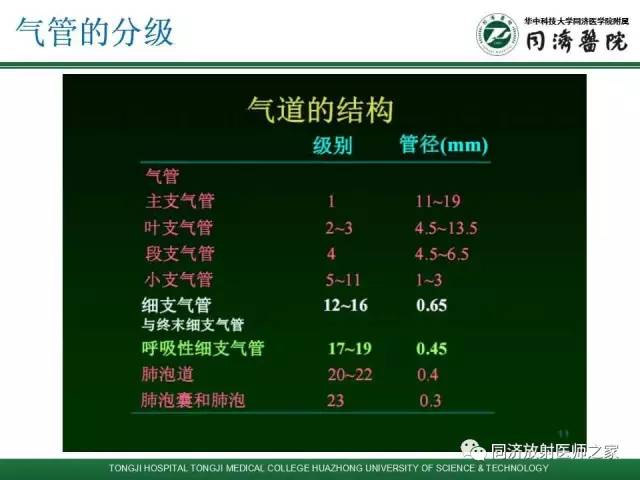 【PPT】间质性肺疾病的影响学表现