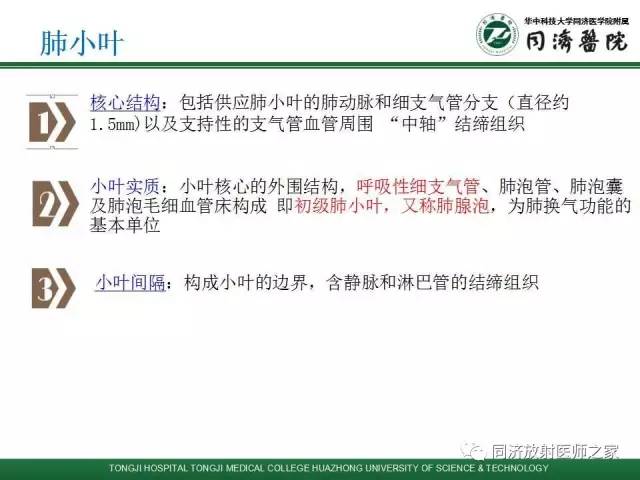 【PPT】间质性肺疾病的影响学表现