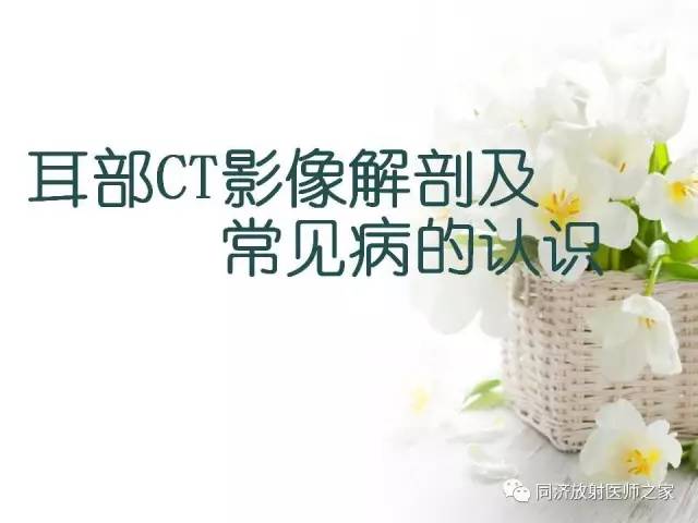【PPT】耳部CT影像解剖及常见病的认识