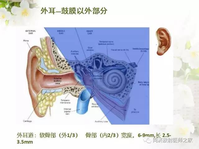 【PPT】耳部CT影像解剖及常见病的认识