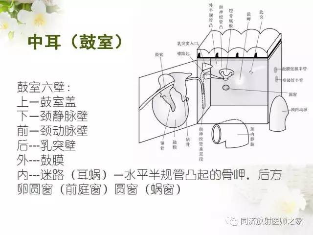 【PPT】耳部CT影像解剖及常见病的认识