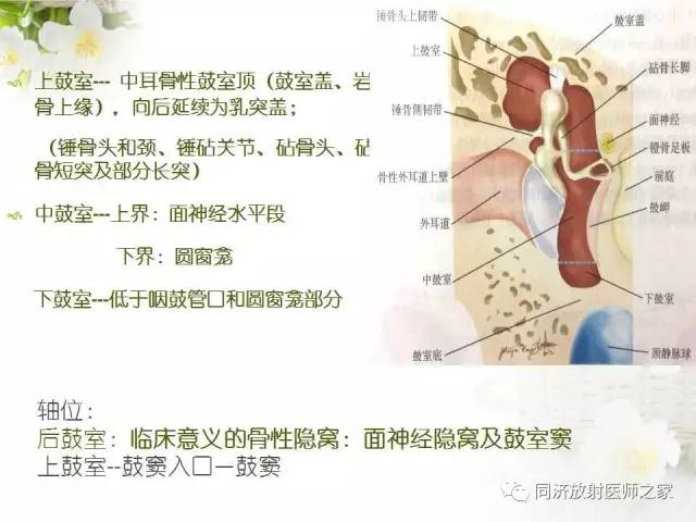 【PPT】耳部CT影像解剖及常见病的认识