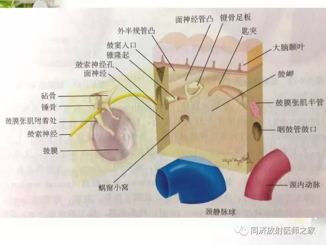 【PPT】耳部CT影像解剖及常见病的认识