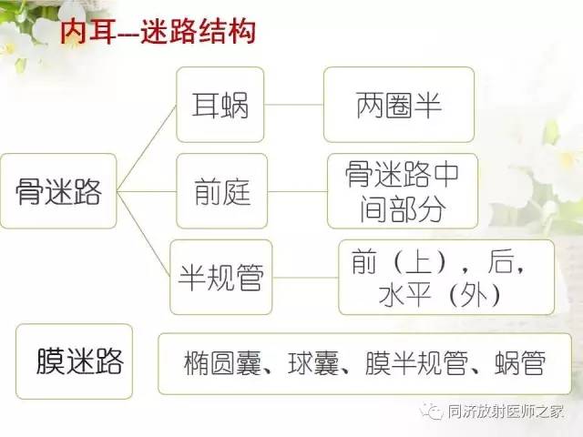 【PPT】耳部CT影像解剖及常见病的认识