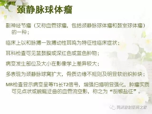 【PPT】耳部CT影像解剖及常见病的认识