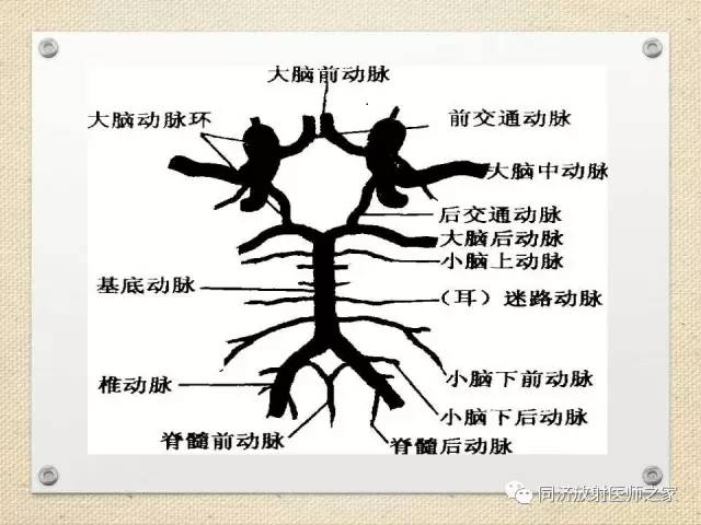 【PPT】超急性期脑梗塞的CT诊断