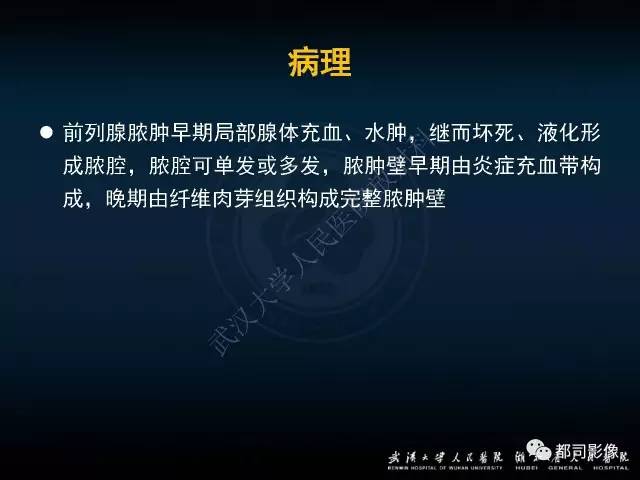 【PPT】前列腺脓肿的临床与影像