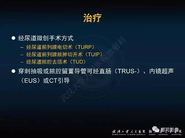 【PPT】前列腺脓肿的临床与影像