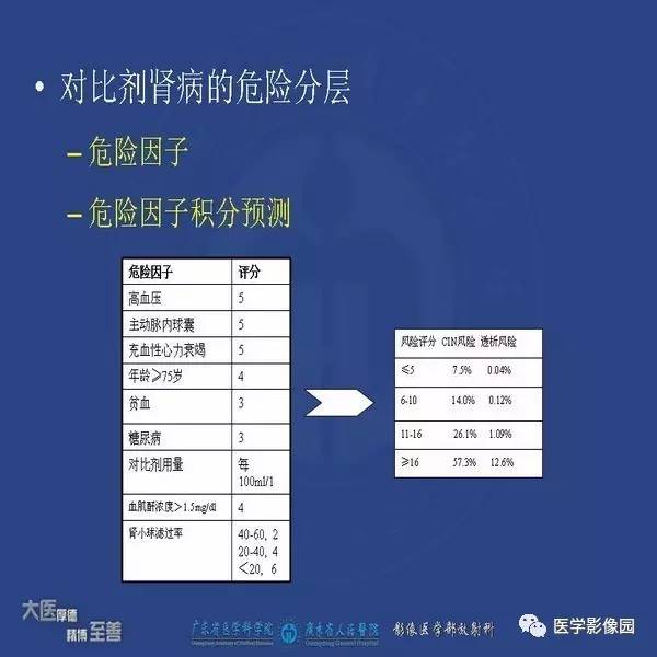 【PPT】解读碘对比剂使用指南V2