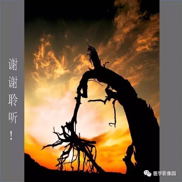 【PPT】解读碘对比剂使用指南V2