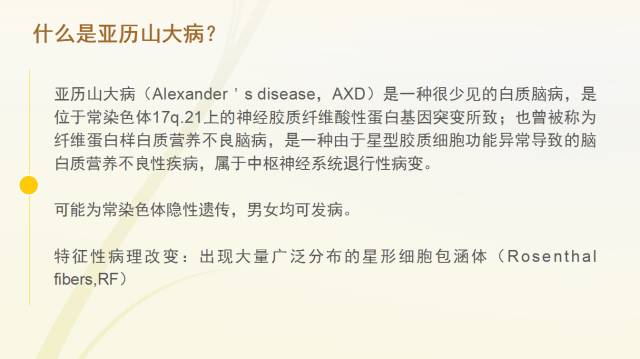 自动草稿