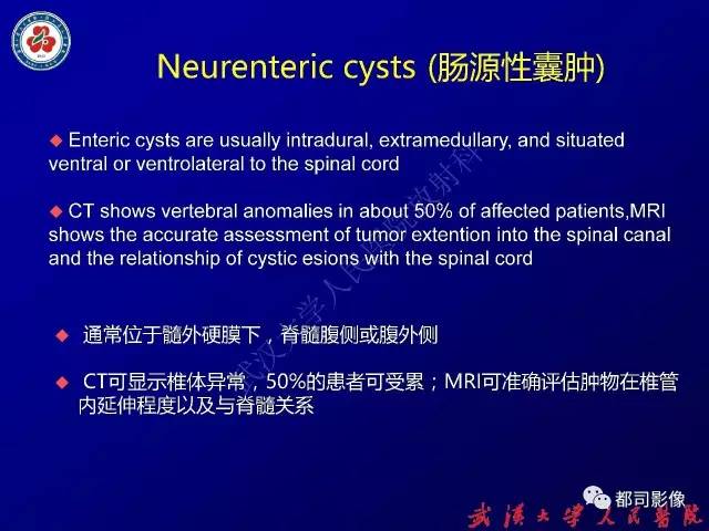 【PPT】纵隔囊性及囊样病变影像学诊断