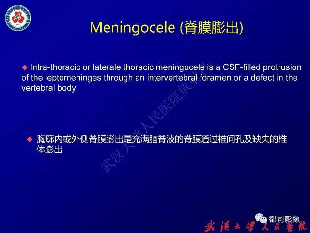 【PPT】纵隔囊性及囊样病变影像学诊断