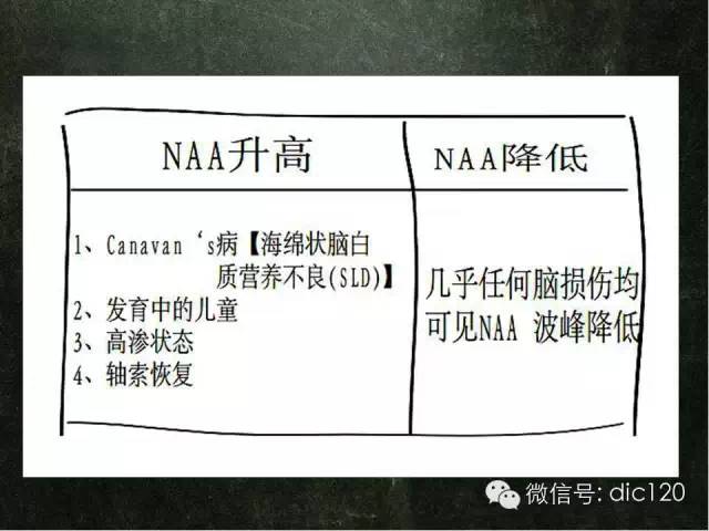 【PPT】脑磁共振波谱MRS