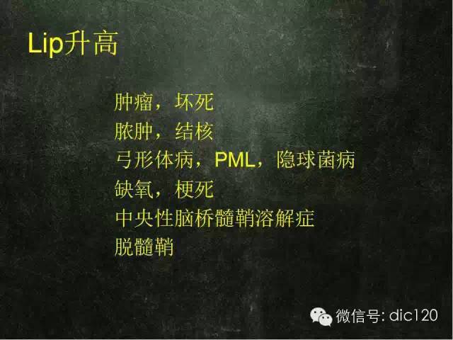 【PPT】脑磁共振波谱MRS