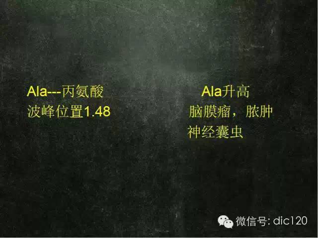 【PPT】脑磁共振波谱MRS