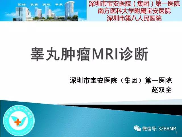 【PPT】睾丸肿瘤病变MR诊断