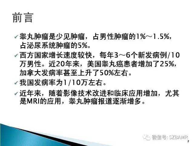 【PPT】睾丸肿瘤病变MR诊断