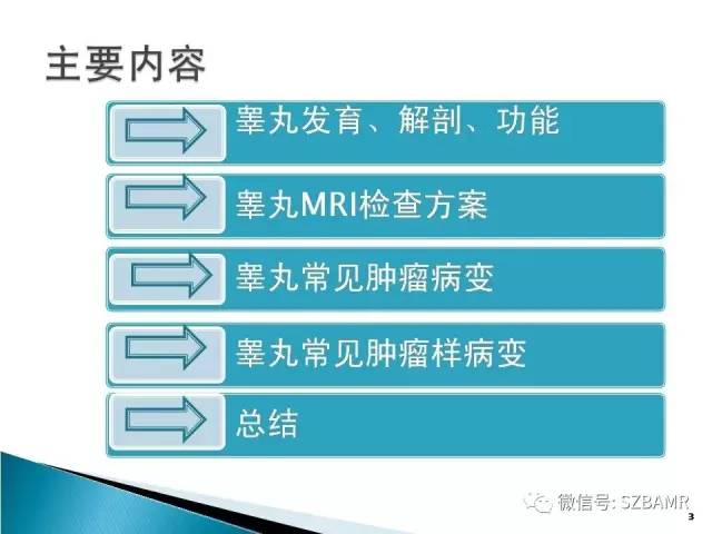【PPT】睾丸肿瘤病变MR诊断