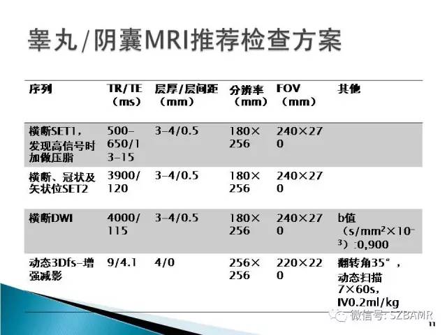 【PPT】睾丸肿瘤病变MR诊断