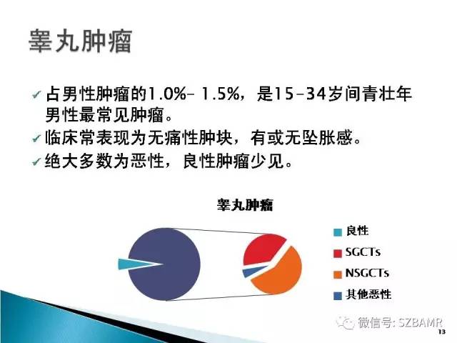 【PPT】睾丸肿瘤病变MR诊断