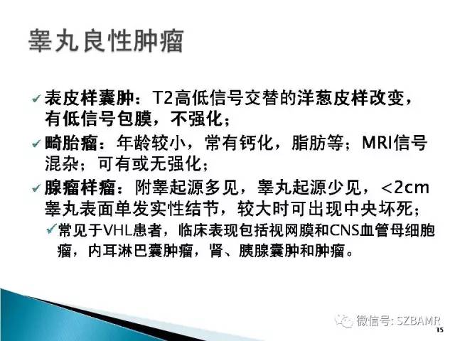 【PPT】睾丸肿瘤病变MR诊断