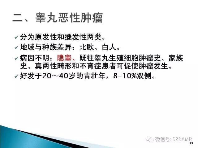 【PPT】睾丸肿瘤病变MR诊断