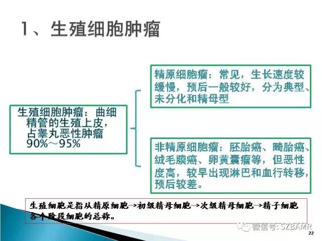 【PPT】睾丸肿瘤病变MR诊断