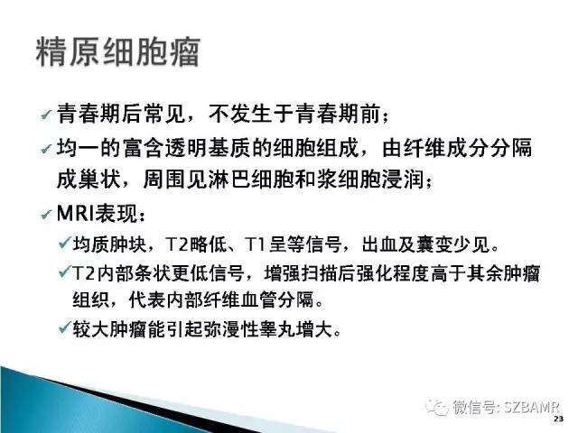 【PPT】睾丸肿瘤病变MR诊断