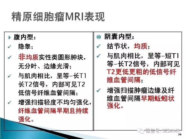 【PPT】睾丸肿瘤病变MR诊断