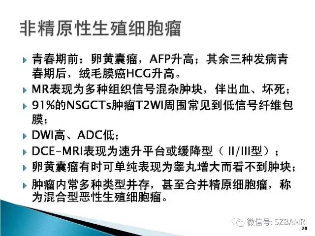 【PPT】睾丸肿瘤病变MR诊断