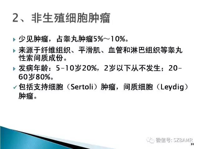 【PPT】睾丸肿瘤病变MR诊断
