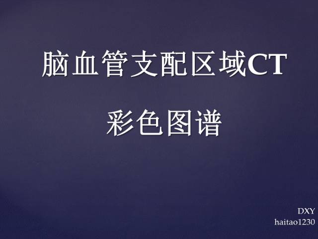 【PPT】脑血管支配区域CT彩色图谱