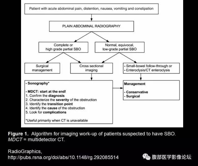 【PPT】小肠梗阻看什么？