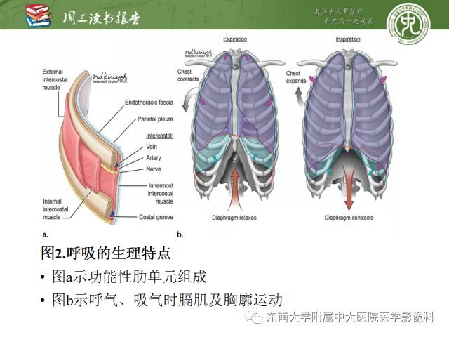 【PPT】创伤性肋骨损伤：类型、影像不足、并发症和治疗【RG精选】