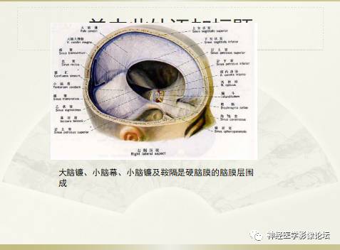 硬膜下积液与蛛网膜下腔间隙增宽鉴别 硬膜下积液与蛛网膜下腔间隙增宽鉴别