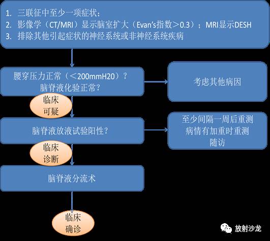特发性正常压力性脑积水iNPH 特发性正常压力性脑积水iNPH