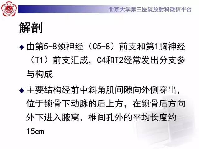 【PPT】臂丛神经