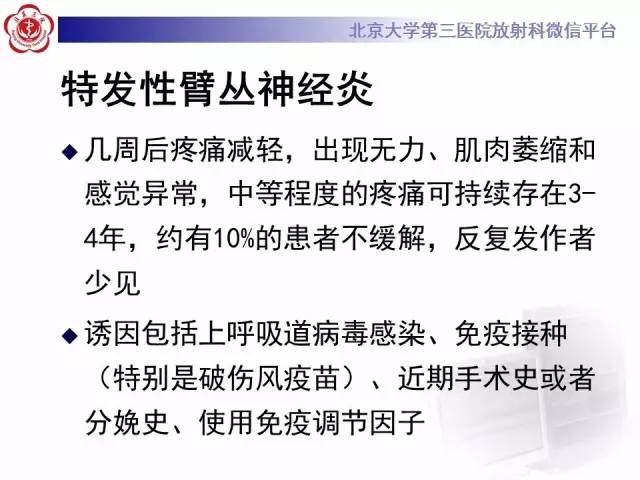 【PPT】臂丛神经