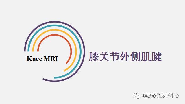 【PPT】膝关节周围肌腱解剖及MR表现