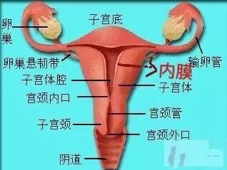 【病例】肺部子宫内膜异位症1例CT
