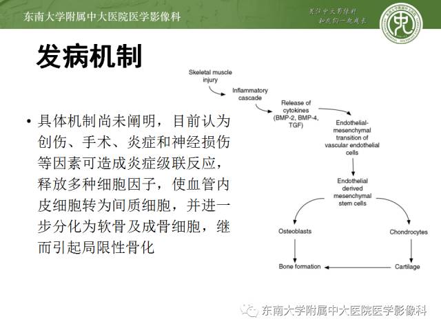 【病例】骨化性肌炎1例CT影像表现