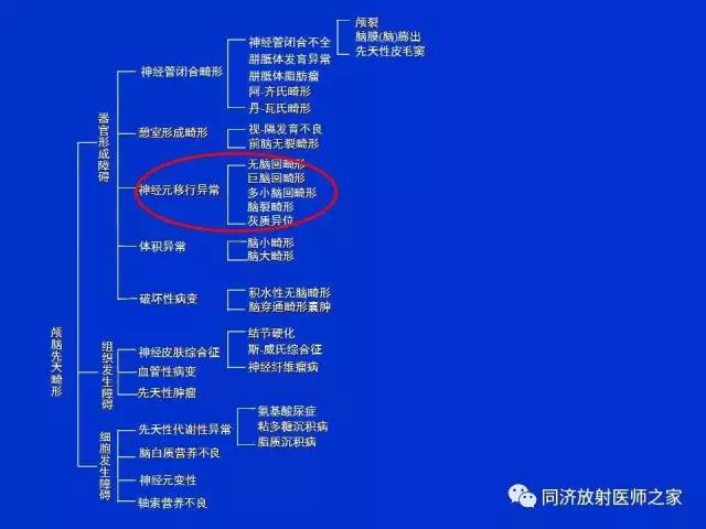 【PPT】神经元移行异常引起的颅脑畸形影像诊断