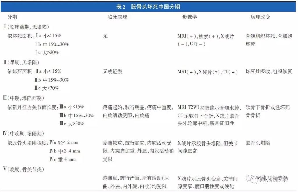 股骨头坏死中国分期
