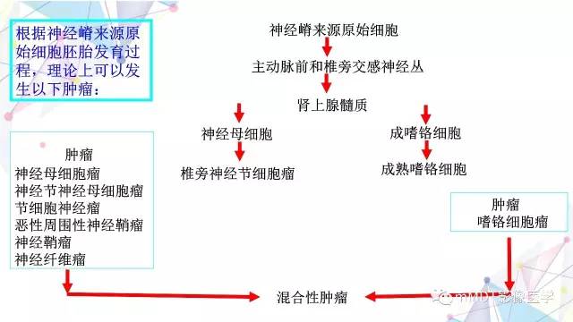 【PPT】肾上腺嗜铬细胞瘤影像诊断