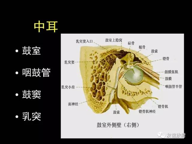 【PPT】颞骨影像解剖