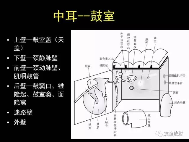 【PPT】颞骨影像解剖